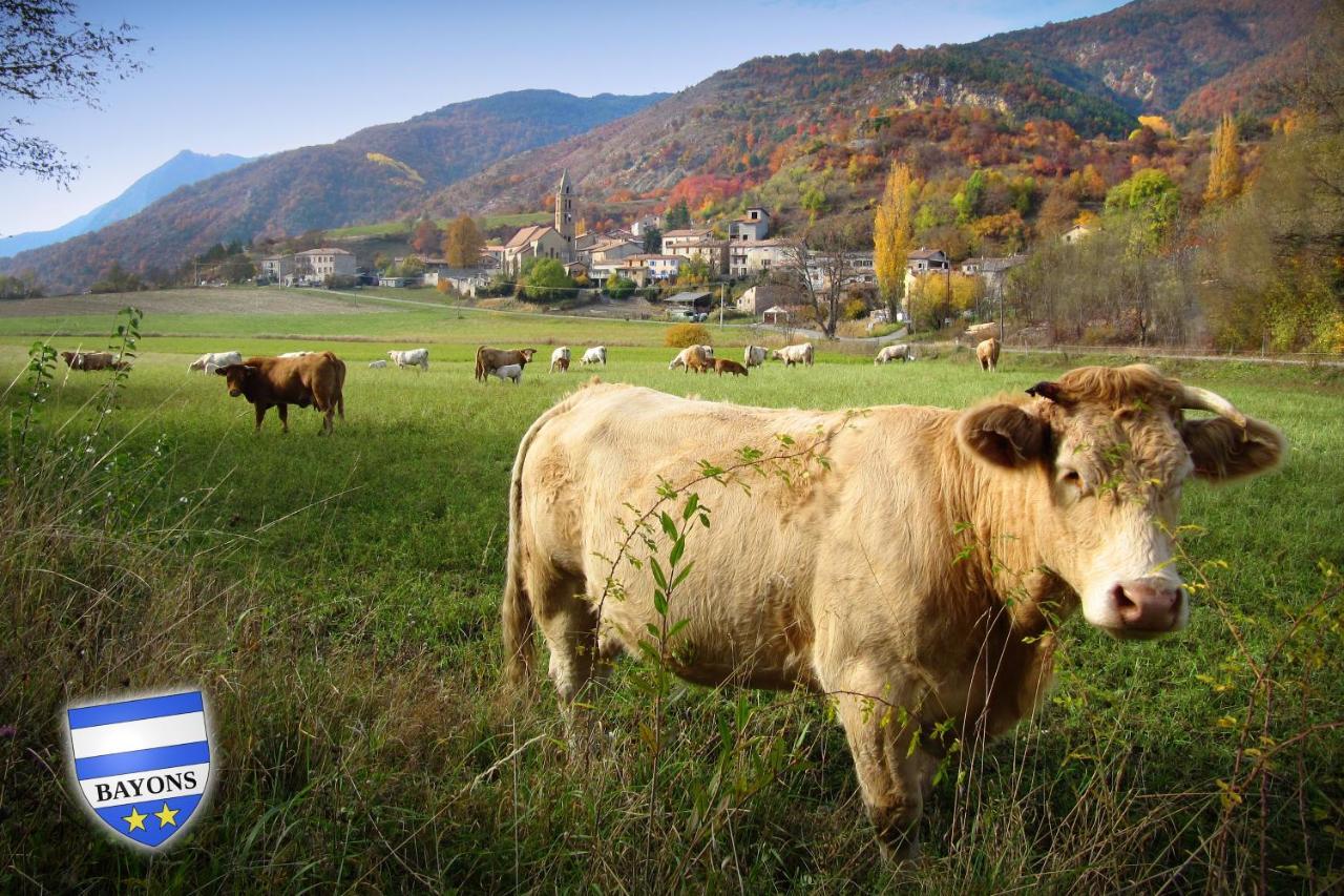 Gite La Taniere Des Alpes Bayons Экстерьер фото